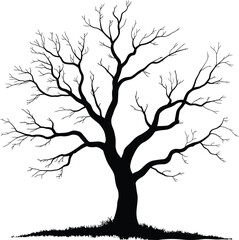 Obraz premium Nature tree landscape design silhouette