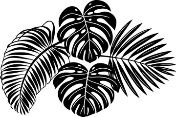 palm tree silhouette