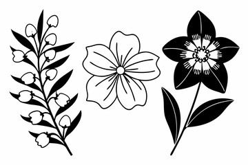 black and white flowers