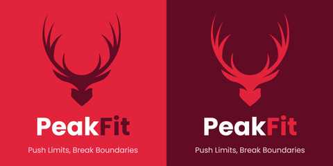 Peak Fit Logo