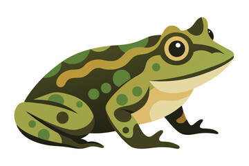 Stylized green frog with camouflage pattern and big eyes
