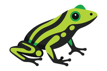 Vibrant green and black striped poison dart frog illustration