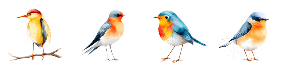 Watercolor Illustration Set of Colorful Garden Birds