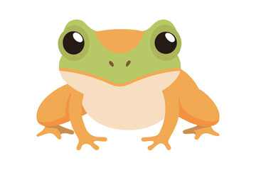 Cute cartoon frog with big eyes and orange and green coloring