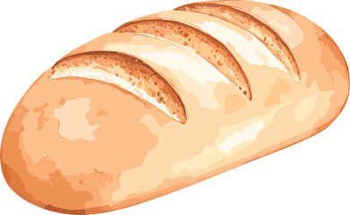 Original bun watercolor vector illustration