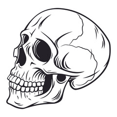 Black skull profile on white background human skull