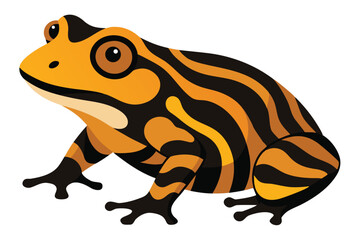 Vibrant orange and black striped frog illustration