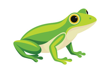 A vibrant green frog with large yellow eyes sits on a white background