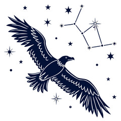 Dark blue eagle flying with stars and constellation