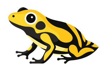Vibrant yellow and black poison dart frog illustration