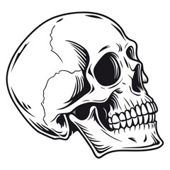 Human skull black ink illustration white