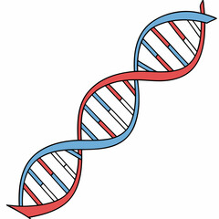 Red blue dna double helix strand genetic