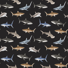 Seamless Watercolor Shark Pattern. Ocean Predator Illustration for Kids and Fabric