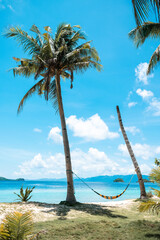 Coconut trees and a hammock in one of the islands of Coron, Palawan in the Philippines. 