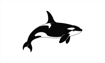 Fototapeta premium Majestic orca whale ocean dweller silhouette