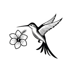 Black hummingbird with hibiscus flower black and white flying