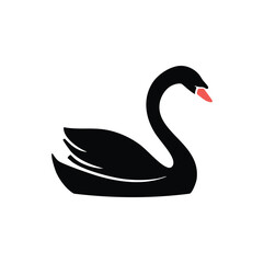 Elegant black swan with coral beak bird waterfowl