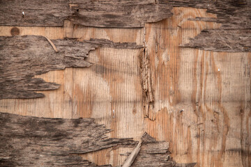 photo texture of old plywood. Texture of old wood. Old weathered texture