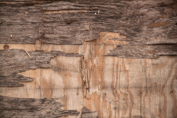 photo texture of old plywood. Texture of old wood. Old weathered texture