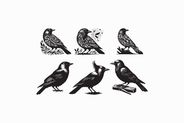 Jackdaw bird vector silhouettes black and white image made by adobe illustrator . eps