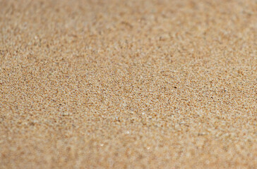 A sandy surface with a few small rocks scattered about
