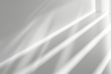 Monochromatic abstract vertical stripes. Digital artwork of black and white background or black shadow reflect on white backdrop. Modern digital design for poster. Gradient color pattern. AIG51.