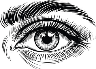 Obraz premium Vintage Hand-Drawn Human Eye Illustration