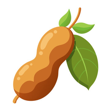 A vibrant tamarind illustrated in vector art style. Minimal design, flat colors, and clean lines make it perfect for health, food, or summer-themed creative projects.