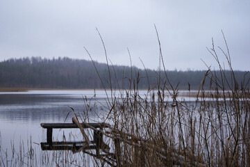 Small wooden jetty path going into grey lake with fog and dark moody forest in the background