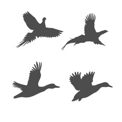 Flying bird silhouettes vector illustration in black style

