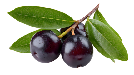 Dark purple Jamun fruit with green leaves and stem, isolated on a transparent background, highlighting its medicinal Ayurvedic properties.