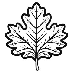 Obraz premium Oak Leaf Outline Drawing Icon