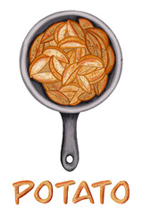 Watercolor drawing of fried potatoes in a frying pan and raw sliced ​​potatoes. Food drawing. Vegetables. Hand drawn farm food design for packaging, fabric, kitchen decor.