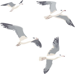 Obraz premium seagulls in flight