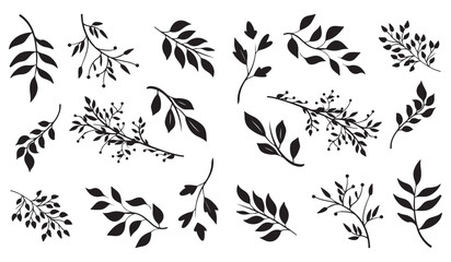 Leaves Icons Set - Different Vector Illustrations Isolated On White Background