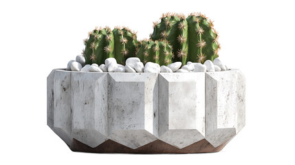 Geometric White Pot With Green Succulent Plant And White Decorative Stones