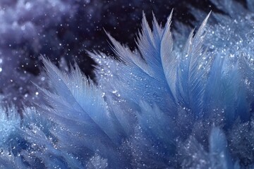 Close up of intricate ice crystals forming delicate feather like structures