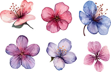 collection of flowers