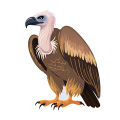 Fototapeta premium Majestic Vulture Illustration: A Stunning Vector Graphic for Wildlife Enthusiasts