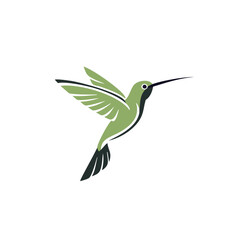Green hummingbird in flight with dark accents flying wings