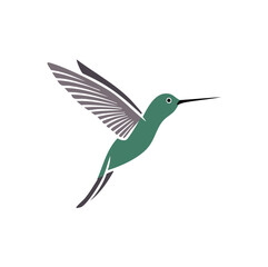 Green hummingbird with grey wings in flight vector