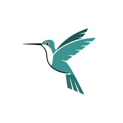 Teal hummingbird in flight with outstretched wings flying
