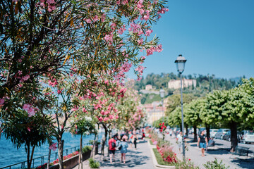 Charming Promenade with Blooming Flowers Near a Scenic Waterfront