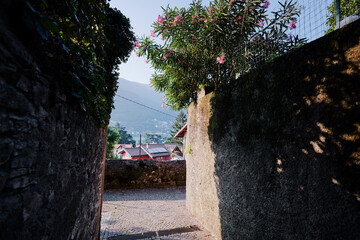 Stone Passageway Opening to Scenic Village View With Blossoming Trees