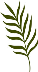 Stylized Green Palm Leaf Illustration on White Background for Tropical Design
