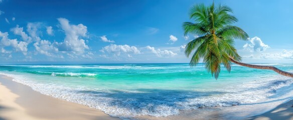 Fototapeta premium The serene beach with a palm tree overlooking crystal clear waters