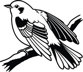 Realistic Robin Outline Vector Illustration  
