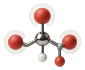 Bicarbonate ion model with trigonal planar shape and resonance stabilization