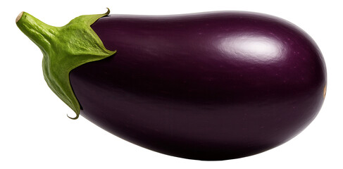 Mature eggplant with deep purple glossy skin and oblong shape