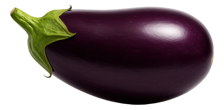 Mature eggplant with deep purple glossy skin and oblong shape